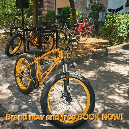 Spot Two Free Bikes Included Save 20 Eur On Bike Rent Book Now 아파트 *