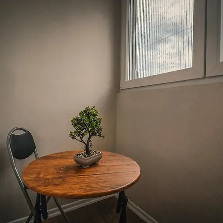 Spot Two Free Bikes Included Save 20 Eur On Bike Rent Book Now *