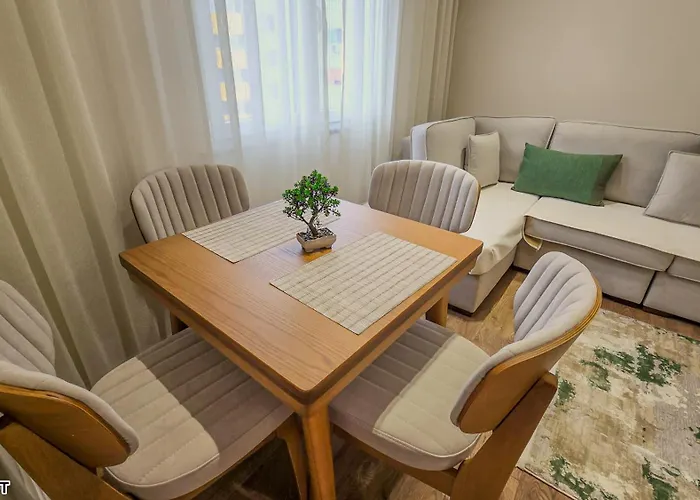 Spot Two Free Bikes Included Save 20 Eur On Bike Rent Book Now * Shkodër