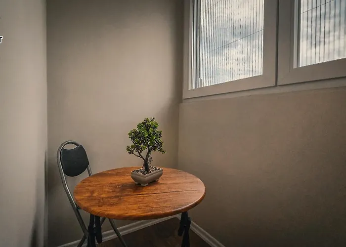 Spot Two Free Bikes Included Save 20 Eur On Bike Rent Book Now *